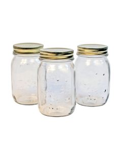 Lasipurkki kierrekorkilla 0,5 l
