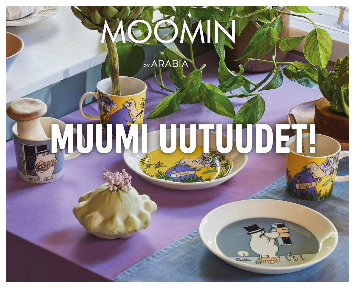 Boksi 2 Muumi